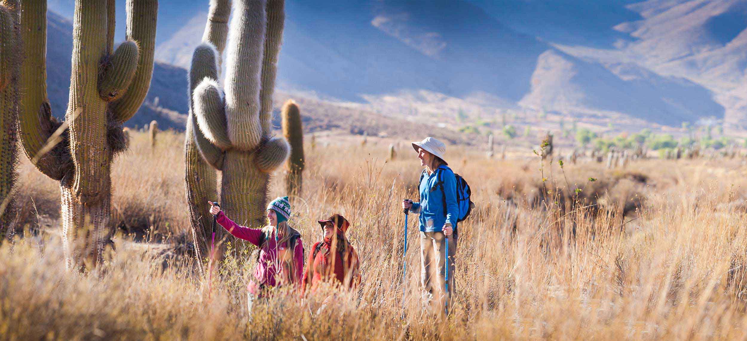 ¿Qué hacer en vacaciones de invierno en Salta?